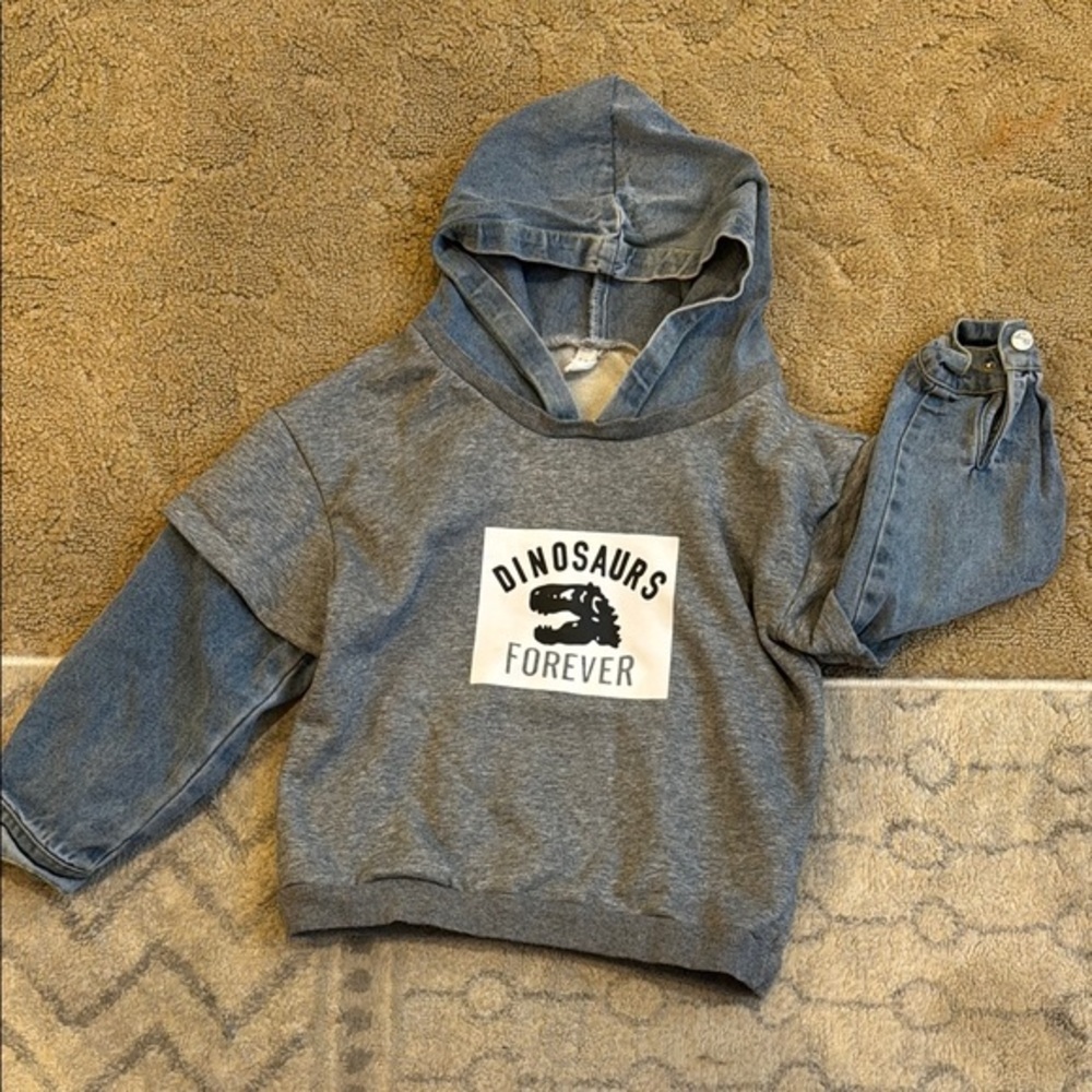 Gray Dinosaur Hoodie for Kids size 5-6